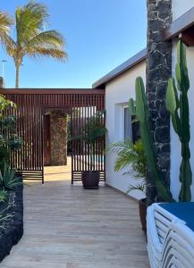 un patio con cactus y plantas en una casa en Casa Chic Lanzarote, en Puerto del Carmen