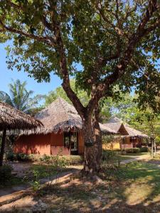 a tree in front of a house at Phayam Cottage Resort in Ko Phayam