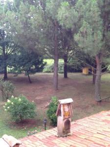 A garden outside Campo alle Monache