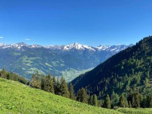 a green hillside with snow capped mountains in the background at Chalet in Zillertal near Hochzillertal Ski Area in Zellberg +19 photos