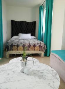 ROOF G BELLO HORIZONTE في Emiliano Zapata: غرفة نوم مع سرير وطاولة مع نبات الفخار