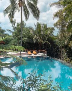basen z 2 krzesłami i palmami w obiekcie Jiwa Jawa Resort Ijen w mieście Banyuwangi