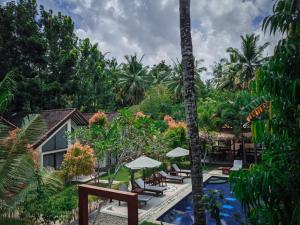 un complejo con piscina, sillas y palmeras en RaCottage Mandalika, en Kuta Lombok