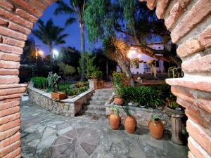 a patio with potted plants and a brick wall at La Casa Grande in Guanajuato