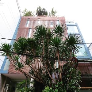 un grupo de palmeras frente a un edificio en Q apaz Serviced Apartment - 251NVT, en Ho Chi Minh