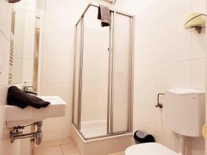a bathroom with a shower and a sink and a toilet at Floridsdorfer Apartment - Free Highspeed-Internet in Vienna