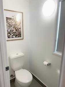 a bathroom with a toilet and a picture on the wall at Marlin Villa - Hervey Bay in Urangan