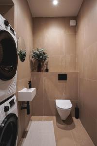 リガにあるcozy apartment in the quiet center of Rigaのトイレと洗面台付きのバスルーム +9枚の写真