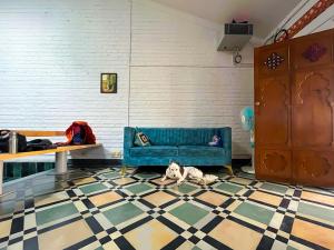 Istumisnurk majutusasutuses Rahees Bi Roambay - Backpacker Hostel