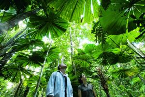 Gallery image of Black Palm Cape Tribulation in Cape Tribulation