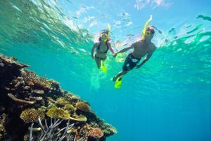 two people swimming in the water near a coral reef at Black Palm Cape Tribulation in Cape Tribulation