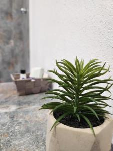 a plant in a pot sitting next to a wall at Armina's Residence in Dumbrăviţa