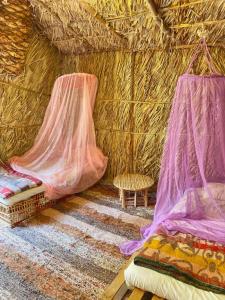 two beds in a straw hut with mosquito nets at Forest Camp Siwa - كامب الغابة in Siwa