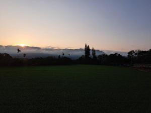 Paesaggio naturale nelle vicinanze della stanza in casa privata