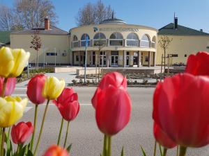 a group of red and yellow tulips in front of a building at Thermal Hotel in Komárom