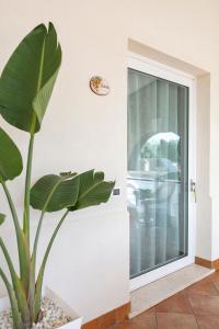 una planta en una habitación junto a una puerta de cristal en Casa Vacanze Il Vigneto, en Marsala