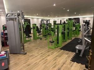 Fitness centrum a/nebo fitness zařízení v ubytování Petra Canyon Hotel