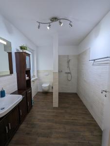La salle de bains est pourvue d'une douche, d'un lavabo et de toilettes. dans l'établissement Ferienwohnung Am Kleinen Haff, à Garz