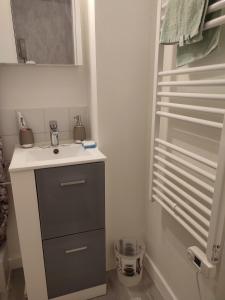 un baño con lavabo y espejo en Studio pour Déplacements Professionnels- étudiant, en Nevers