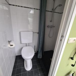 a bathroom with a white toilet and a shower at Tiny house Wassenaar in Wassenaar