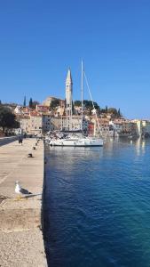 a boat is docked in a body of water at Rovinj City Apartment in Rovinj