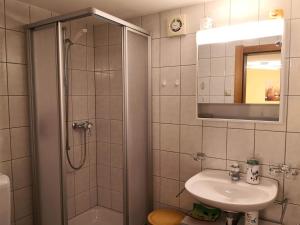un bagno con doccia e lavandino di Studio mit traumhafter Aussicht a Ritzingen