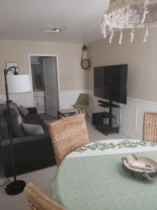 a living room with a couch and a television at Duplex SERENITY in Bédarieux