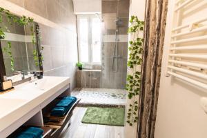a bathroom with a shower and a sink at appart de charme a 2 pas du centre de Montbrison in Montbrison