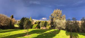 um campo relvado com árvores e uma colina ao fundo em Podere Pievina Delle Corti - Dimora di Campagna em Sinalunga