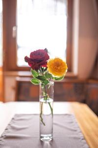 Aparthaus Winkler في هينترتال: مزهرية مليئة بالورود تجلس على طاولة