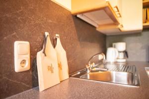 um balcão de cozinha com um lavatório e duas toalhas de papel em Aparthaus Winkler em Hinterthal