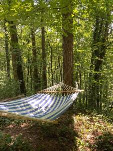 a hammock in the middle of a forest at Off mode - Erdei faház a tóparton in Komló