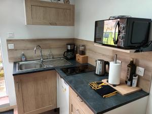 una cocina con fregadero y microondas en Mini Gite Les Marais Beaugency, en Beaugency