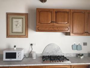 a kitchen with a stove and a microwave at Agriturismo San Leone in Volterra