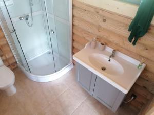a bathroom with a sink and a shower at Vasaras Sapnis in Nida