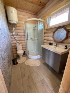 a bathroom with a shower and a sink and a toilet at Vasaras Sapnis in Nida