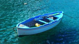 ein blaues Boot im Wasser mit einer Person darin in der Unterkunft Apartman Lara in Brodarica