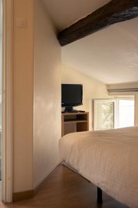 1 dormitorio con 1 cama y TV de pantalla plana en L'appartement à la campagne, en Vermenton