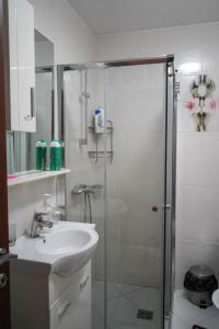y baño con lavabo y ducha acristalada. en Lovely apartment in the heart of Tirana, en Tirana