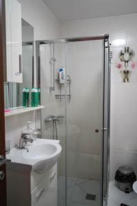 Un baño con lavabo y ducha de cristal. en Lovely apartment in the heart of Tirana, en Tirana