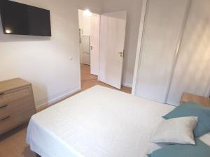 una camera da letto con un letto e una TV a schermo piatto di LA GABICHE - NOUVEAU T2 FACE AUX THERMES ad Aulus-les-Bains