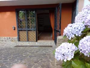 an open door to a house with purple flowers at la tana nel bosco in Durazzano