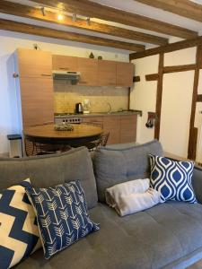 sala de estar con sofá gris con almohadas en Gite Les Clés des Vignes, en Dambach-la-Ville