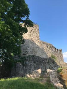 un castillo en la cima de una colina con algunos árboles en Gite Les Clés des Vignes, en Dambach-la-Ville