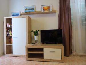 TV a/nebo společenská místnost v ubytování Apartments Grubisin
