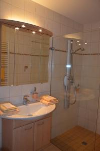 a bathroom with a sink and a shower at Landhotel Rittersgrün in Breitenbrunn