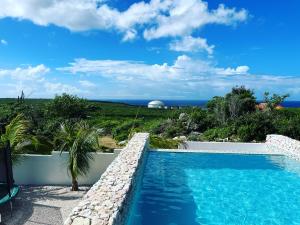 a swimming pool with a view of the ocean at Luxury studio with private jacuzzi near beaches in Grote Berg