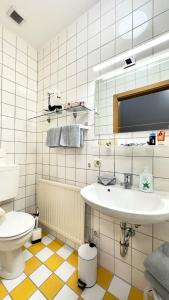 ein Bad mit einem Waschbecken und einem WC in der Unterkunft Ferienwohnungen Sonnleite in Friedenfels