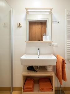 a bathroom with a sink and a shower at Vintlerhof in Bressanone