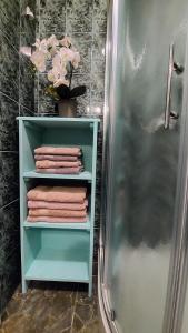 bagno con doccia e rastrelliera di asciugamani. di Rooms Ravnik a Bled